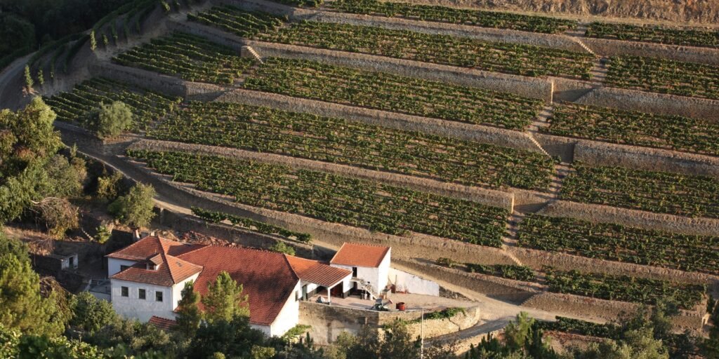Portuguese wine regions vineyard landscape in Portugal